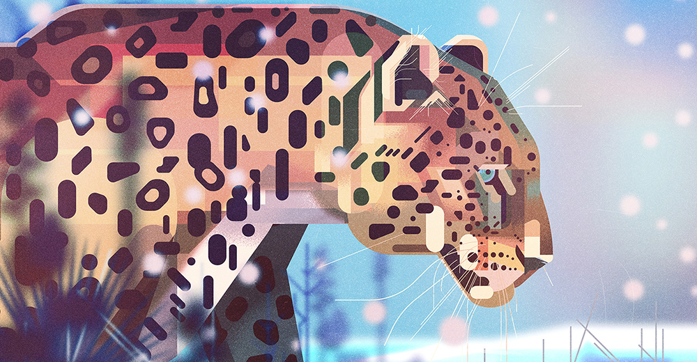 Leopard